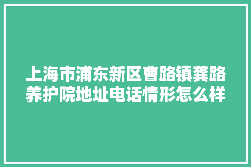上海市浦东新区曹路镇龚路养护院地址电话情形怎么样