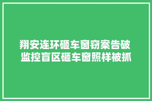 翔安连环砸车窗窃案告破 监控盲区砸车窗照样被抓