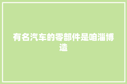 有名汽车的零部件是咱淄博造