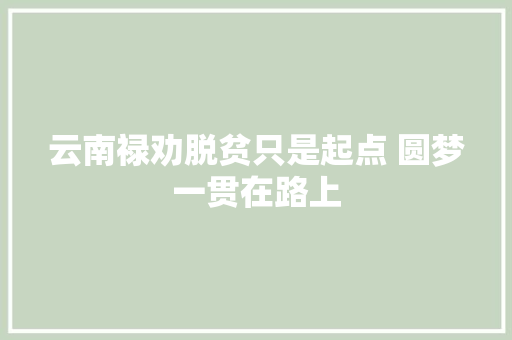 云南禄劝脱贫只是起点 圆梦一贯在路上
