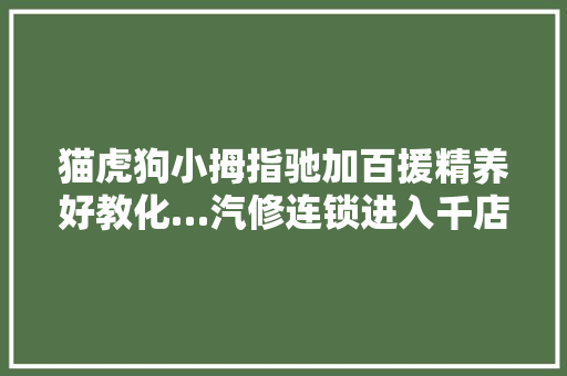 猫虎狗小拇指驰加百援精养好教化…汽修连锁进入千店时代