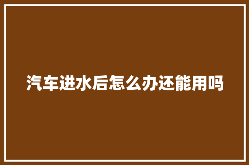 汽车进水后怎么办还能用吗