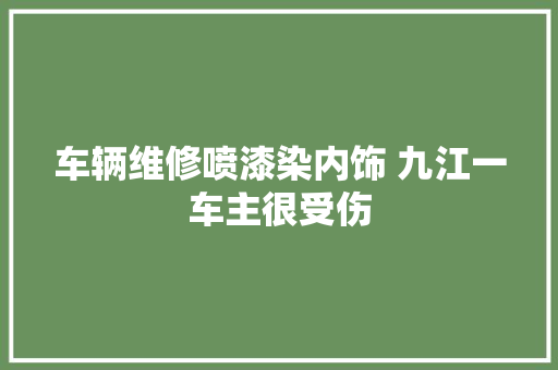 车辆维修喷漆染内饰 九江一车主很受伤