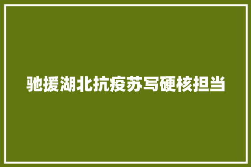 驰援湖北抗疫苏写硬核担当