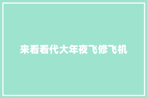 来看看代大年夜飞修飞机