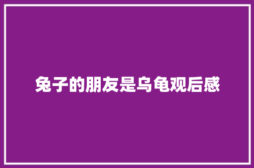 兔子的朋友是乌龟观后感