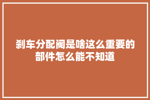 刹车分配阀是啥这么重要的部件怎么能不知道