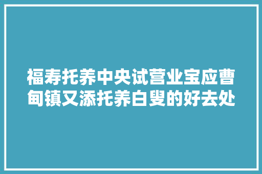 福寿托养中央试营业宝应曹甸镇又添托养白叟的好去处