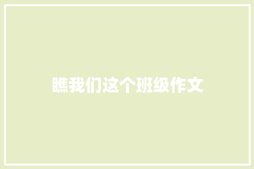 瞧我们这个班级作文