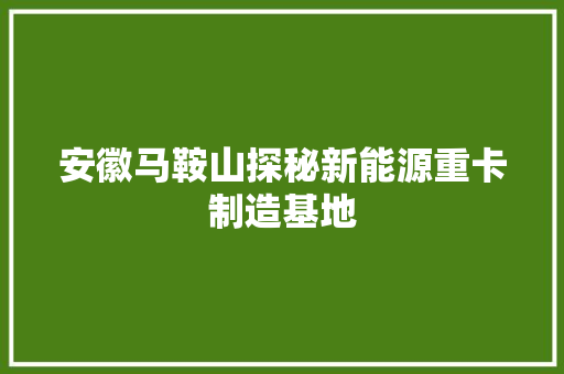 安徽马鞍山探秘新能源重卡制造基地