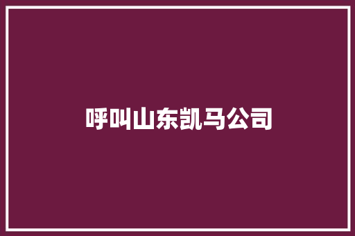 呼叫山东凯马公司