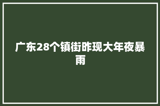 广东28个镇街昨现大年夜暴雨