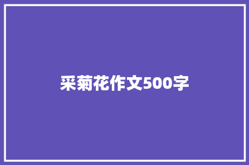 采菊花作文500字