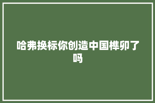 哈弗换标你创造中国榫卯了吗