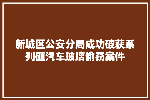 新城区公安分局成功破获系列砸汽车玻璃偷窃案件