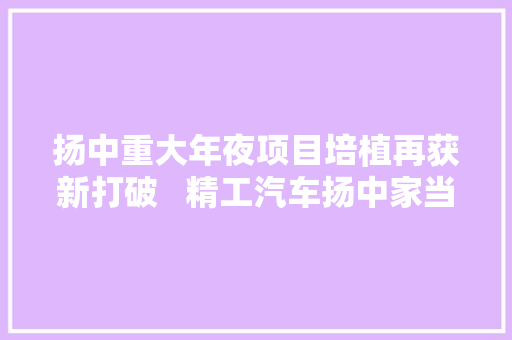 扬中重大年夜项目培植再获新打破   精工汽车扬中家当园项目开工