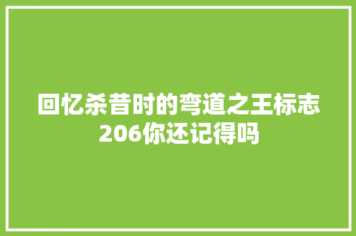 回忆杀昔时的弯道之王标志206你还记得吗