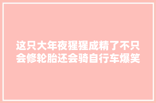 这只大年夜猩猩成精了不只会修轮胎还会骑自行车爆笑喜剧