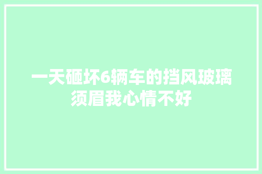 一天砸坏6辆车的挡风玻璃须眉我心情不好