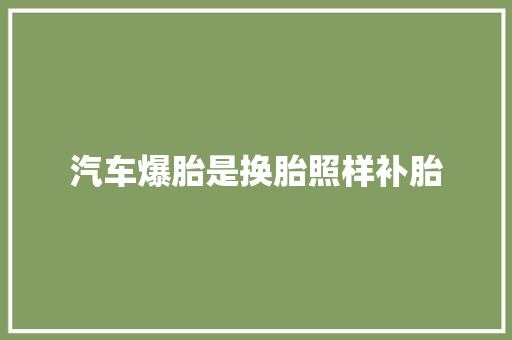 汽车爆胎是换胎照样补胎