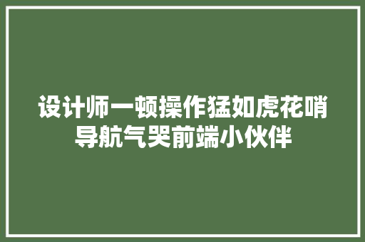设计师一顿操作猛如虎花哨导航气哭前端小伙伴