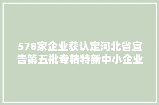 578家企业获认定河北省宣告第五批专精特新中小企业名单