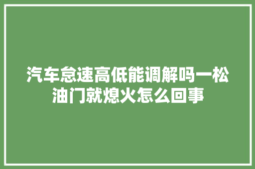 汽车怠速高低能调解吗一松油门就熄火怎么回事