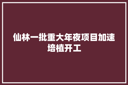 仙林一批重大年夜项目加速培植开工