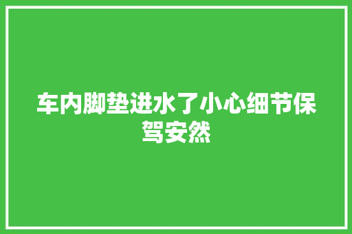 车内脚垫进水了小心细节保驾安然
