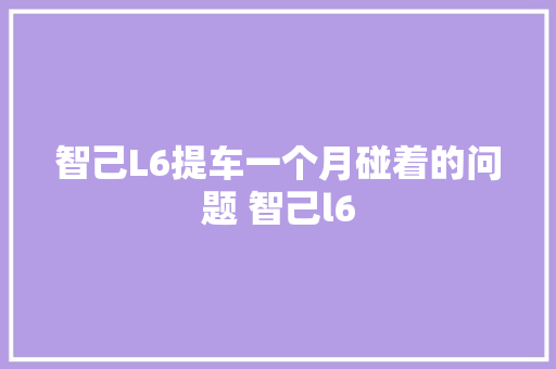 智己L6提车一个月碰着的问题 智己l6