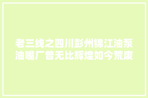 老三线之四川彭州锦江油泵油嘴厂曾无比辉煌如今荒废于山沟