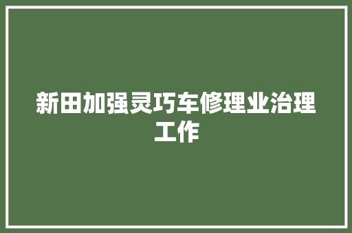 新田加强灵巧车修理业治理工作