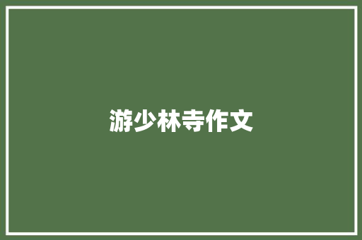游少林寺作文