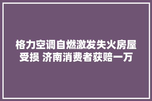 格力空调自燃激发失火房屋受损 济南消费者获赔一万元