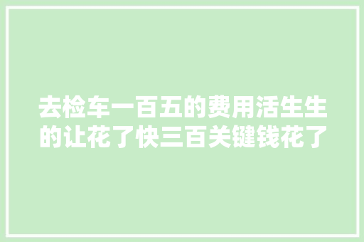 去检车一百五的费用活生生的让花了快三百关键钱花了没捞着器械