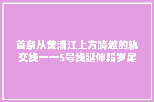 首条从黄浦江上方跨越的轨交线一一5号线延伸段岁尾正式通车奉贤圆了轨交梦