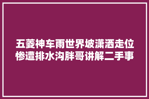 五菱神车雨世界坡潇洒走位惨遭排水沟胖哥讲解二手事件车