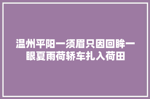 温州平阳一须眉只因回眸一眼夏雨荷轿车扎入荷田