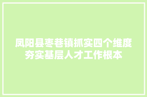 凤阳县枣巷镇抓实四个维度夯实基层人才工作根本