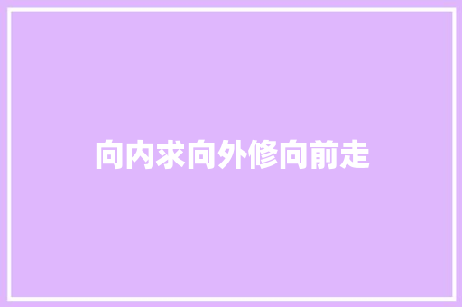 向内求向外修向前走