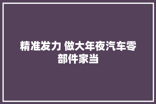 精准发力 做大年夜汽车零部件家当