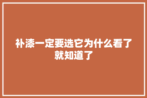 补漆一定要选它为什么看了就知道了