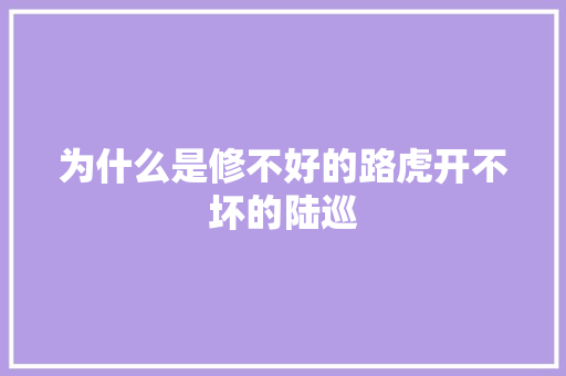 为什么是修不好的路虎开不坏的陆巡