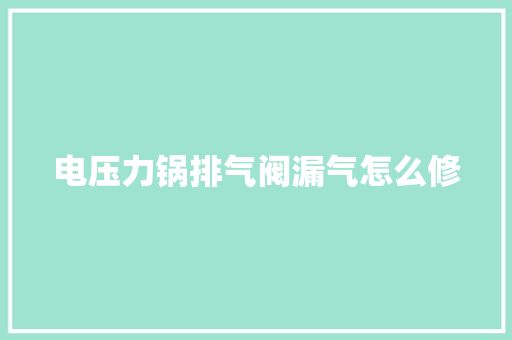 电压力锅排气阀漏气怎么修