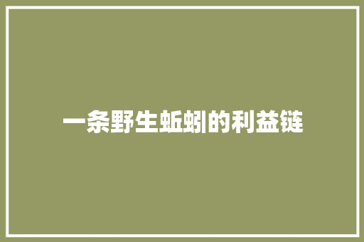 一条野生蚯蚓的利益链