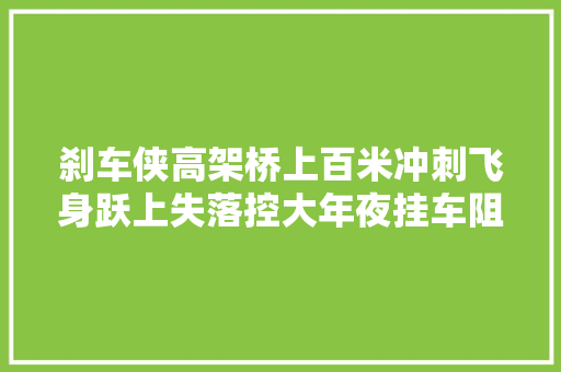 刹车侠高架桥上百米冲刺飞身跃上失落控大年夜挂车阻挡一场恐惧灾祸