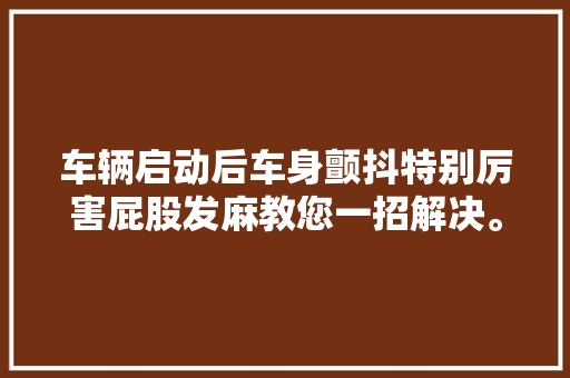 车辆启动后车身颤抖特别厉害屁股发麻教您一招解决。
