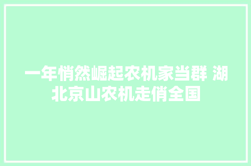 一年悄然崛起农机家当群 湖北京山农机走俏全国