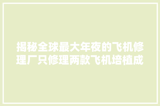揭秘全球最大年夜的飞机修理厂只修理两款飞机培植成本达22亿