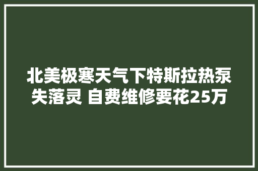 北美极寒天气下特斯拉热泵失落灵 自费维修要花25万元